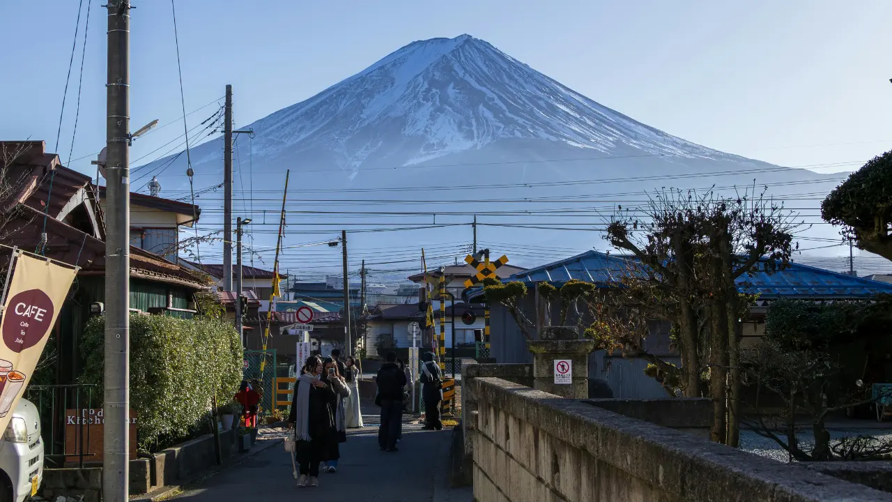 Japan's Mount Fuji Cherry Blossom Festival canceled after tourists turn park into chaos